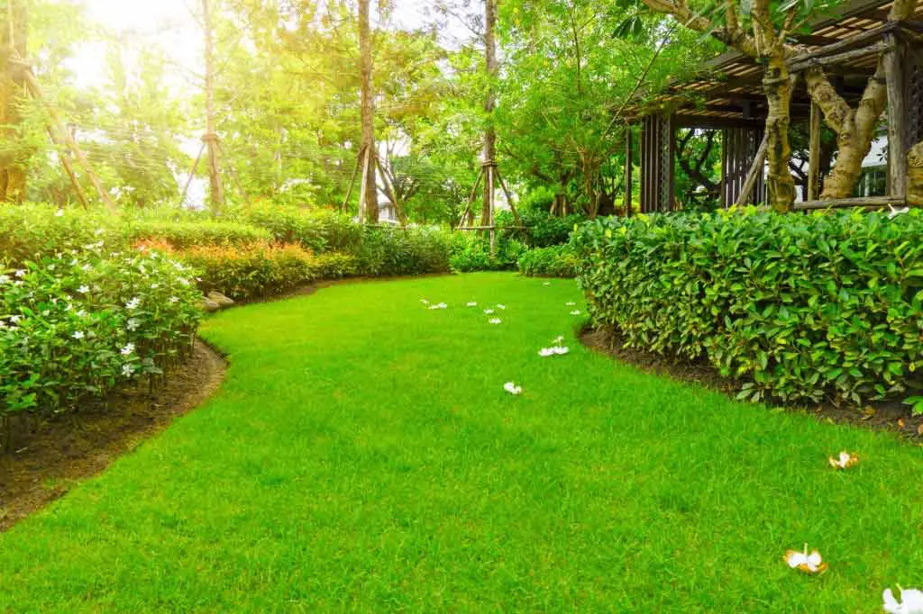 يفضل أن تزرع ممرات عشبية خضراء مؤدية لأماكن الجلسة فى حديقة المنزل حتى لا ترفع من درجة حرارة المكان بشكل عام
